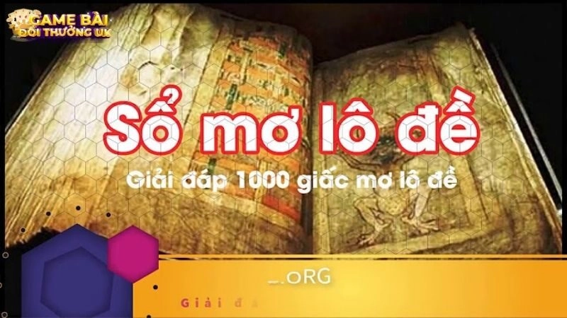 Sổ Mơ Con Vật: Giải Mã Giấc Mơ, Soi Cầu Lô Đề Chính Xác